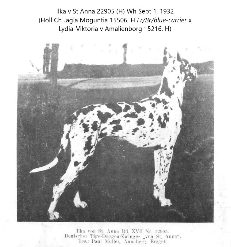 Ilka von St Anna
